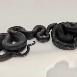 Black Devil Boa